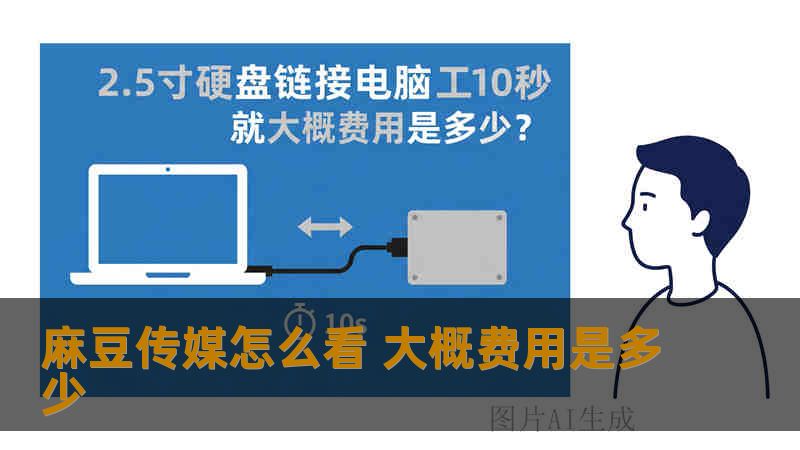 麻豆传媒怎么看 大概费用是多少