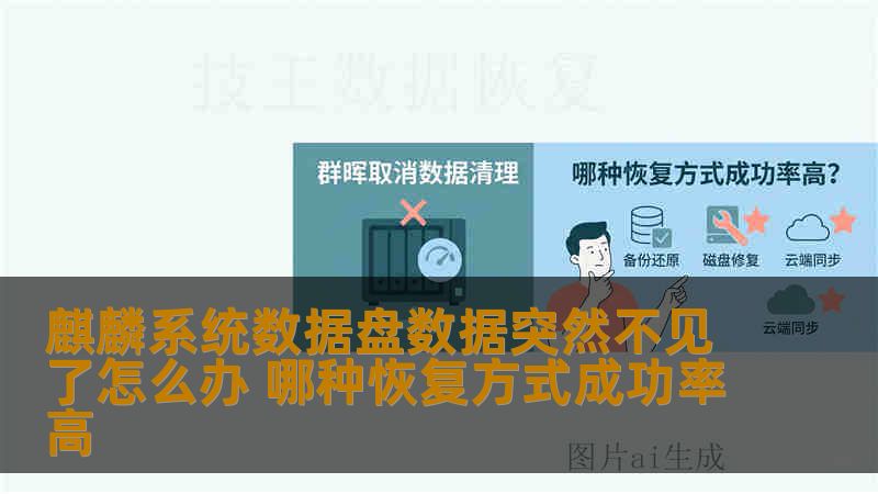 麒麟系统数据盘数据突然不见了怎么办 哪种恢复方式成功率高