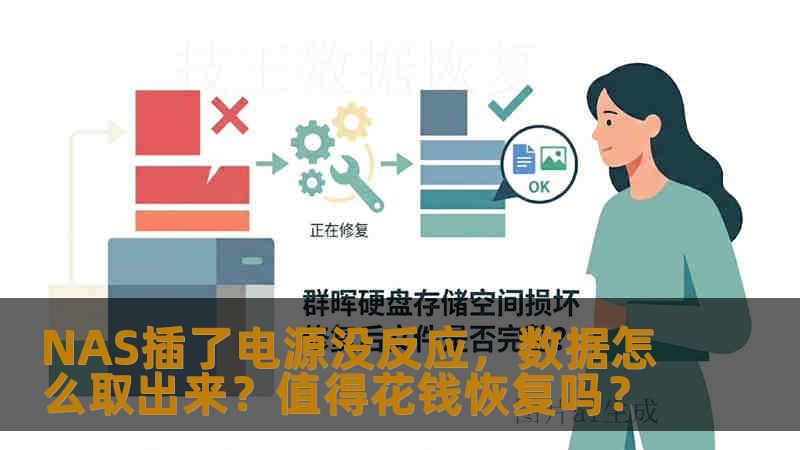 NAS插了电源没反应，数据怎么取出来？值得花钱恢复吗？