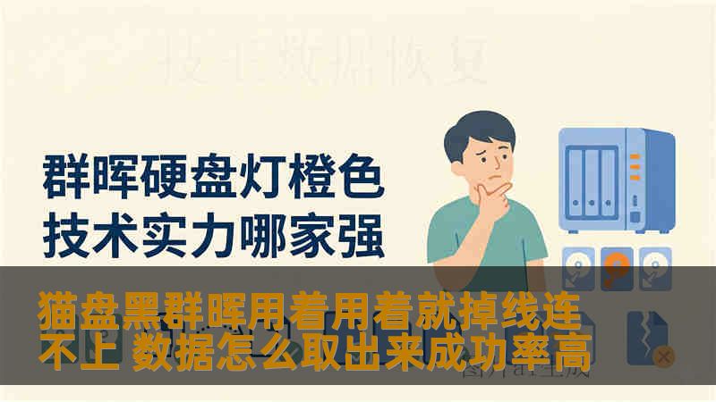 猫盘黑群晖用着用着就掉线连不上 数据怎么取出来成功率高 猫盘黑群晖用着用着就掉线连不上 数据怎么取出来成功率高