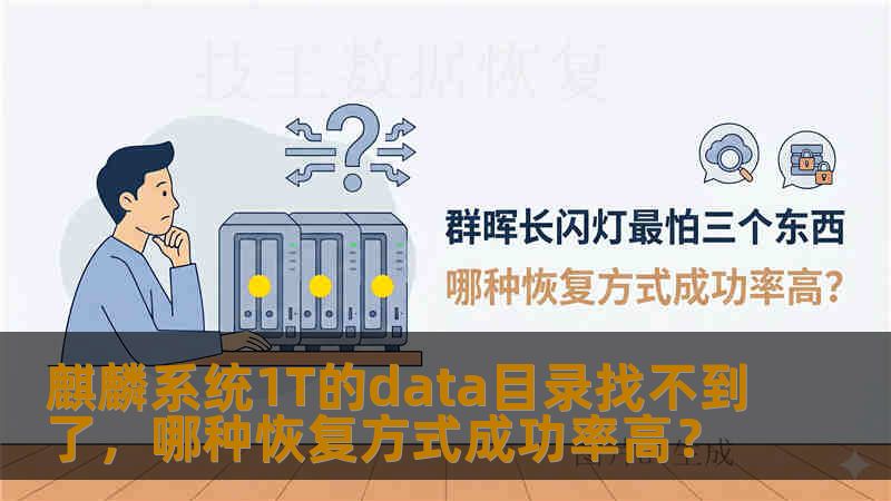 麒麟系统1T的data目录找不到了，哪种恢复方式成功率高？