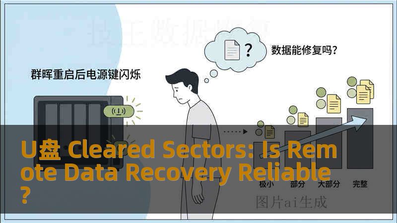 U盘 Cleared Sectors: Is Remote Data Recovery Reliable?