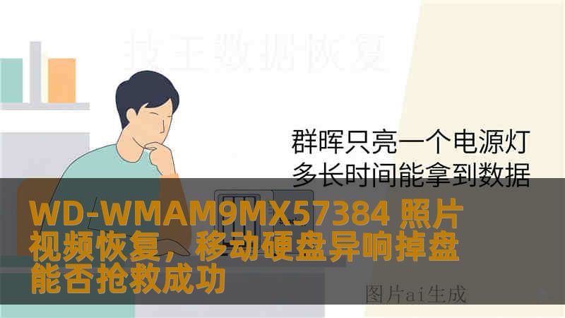 WD-WMAM9MX57384 照片视频恢复，移动硬盘异响掉盘能否抢救成功