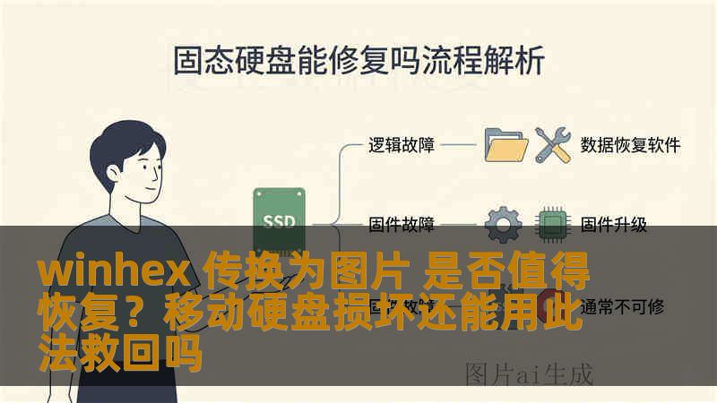 winhex 传换为图片 是否值得恢复？移动硬盘损坏还能用此法救回吗