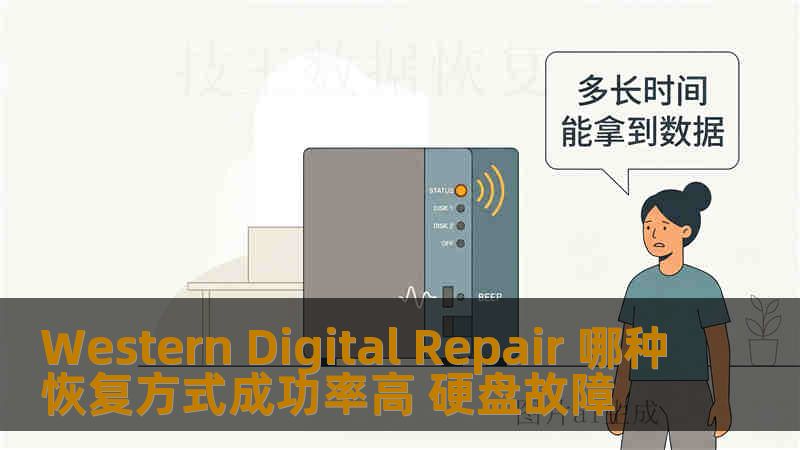 Western Digital Repair 哪种恢复方式成功率高 硬盘故障
