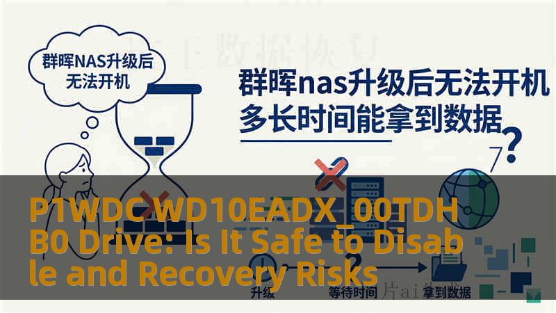 P1WDC WD10EADX_00TDHB0 Drive: Is It Safe to Disable and Recovery Risks