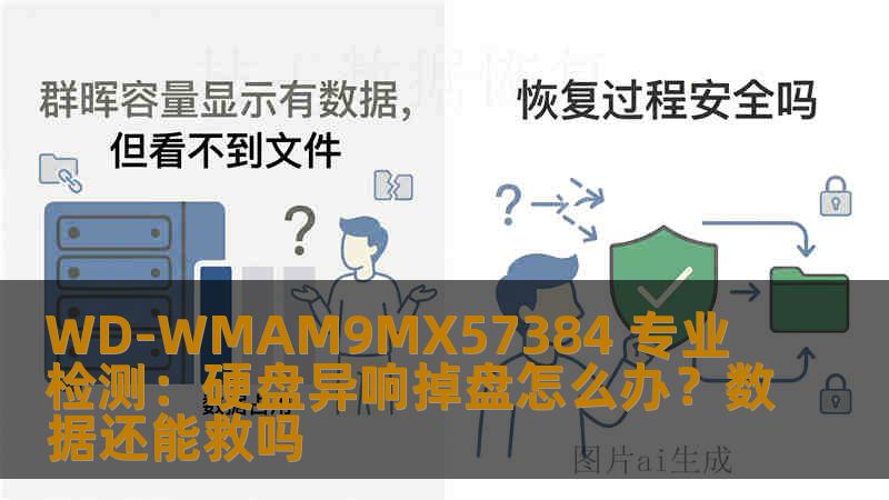 WD-WMAM9MX57384 专业检测：硬盘异响掉盘怎么办？数据还能救吗