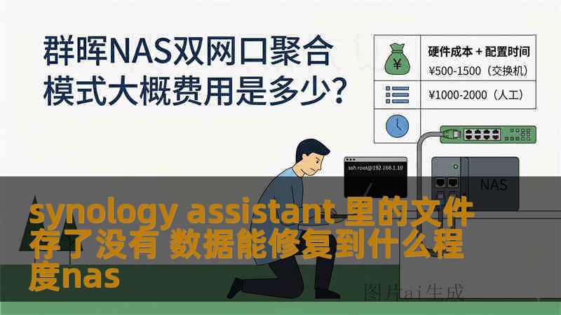 synology assistant 里的文件存了没有 数据能修复到什么程度nas