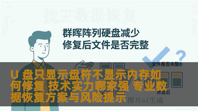 U 盘只显示盘符不显示内存如何修复 技术实力哪家强 专业数据恢复方案与风险提示
