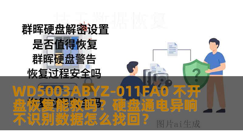 WD5003ABYZ-011FA0 不开盘恢复能救吗？硬盘通电异响不识别数据怎么找回？