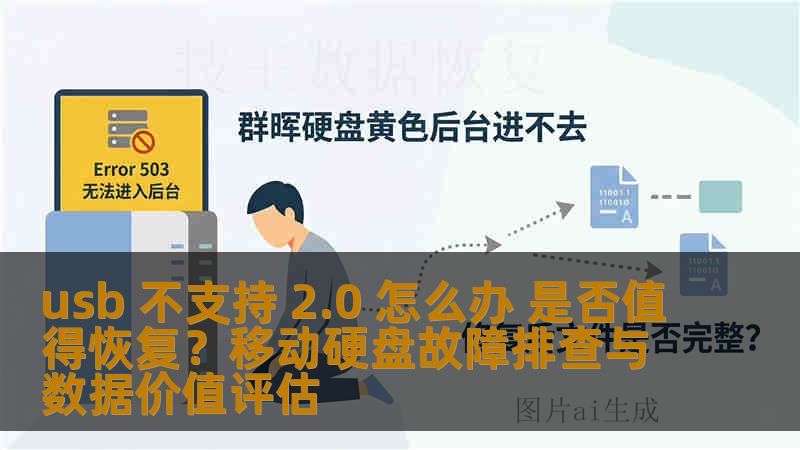 usb 不支持 2.0 怎么办 是否值得恢复？移动硬盘故障排查与数据价值评估