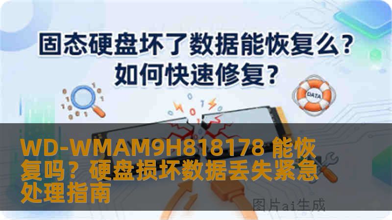 WD-WMAM9H818178 能恢复吗？硬盘损坏数据丢失紧急处理指南