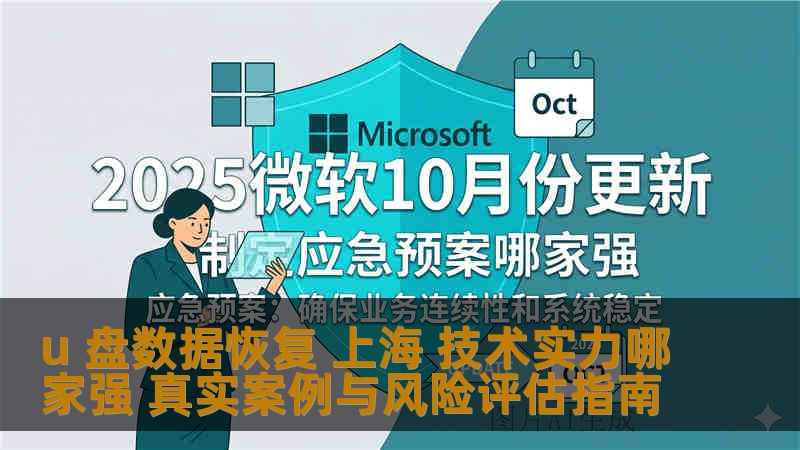 u 盘数据恢复 上海 技术实力哪家强 真实案例与风险评估指南