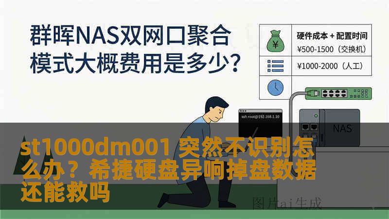 st1000dm001 突然不识别怎么办？希捷硬盘异响掉盘数据还能救吗