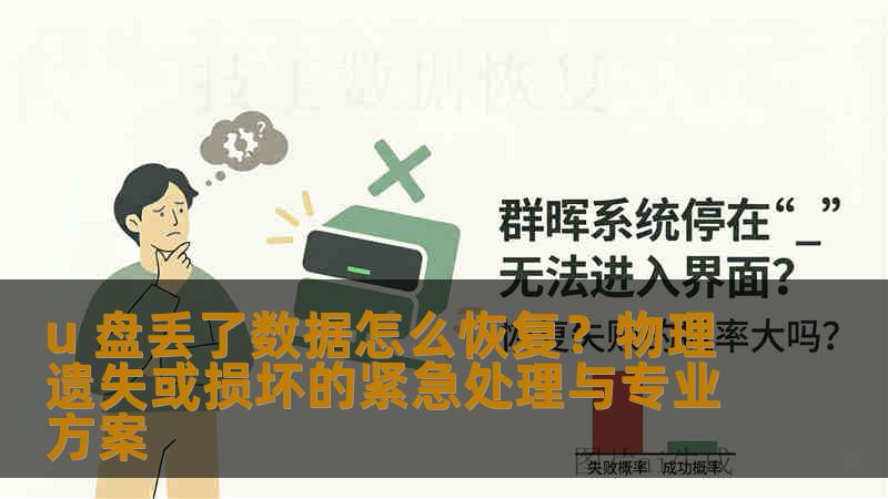 u 盘丢了数据怎么恢复？物理遗失或损坏的紧急处理与专业方案