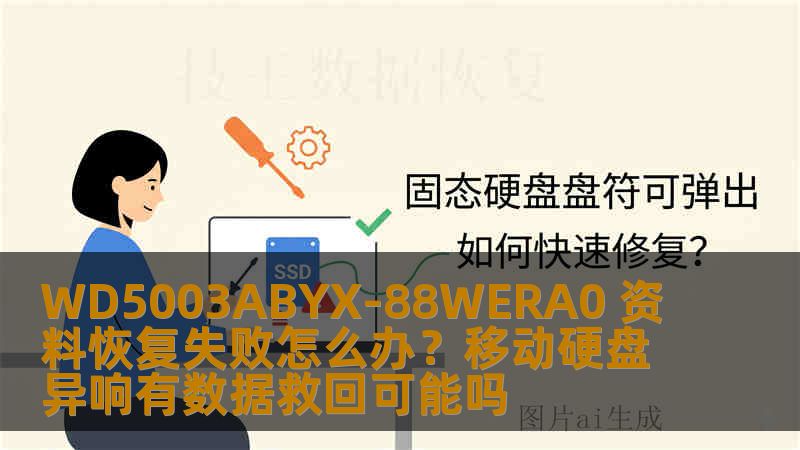 WD5003ABYX-88WERA0 资料恢复失败怎么办？移动硬盘异响有数据救回可能吗