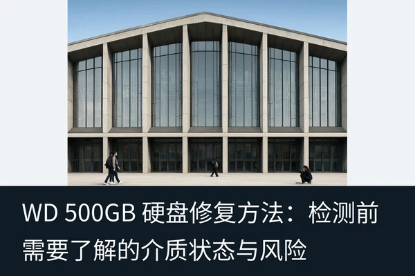 WD 500GB 硬盘修复方法:检测前需要了解的介质状态与风险(1)