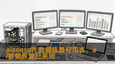 aiseesoft 数据恢复好用么，ai数据恢复已关闭