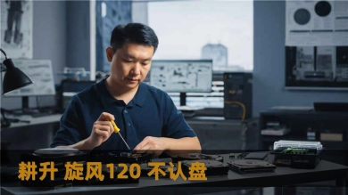 耕升 旋风120 不认盘