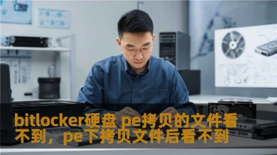 bitlocker硬盘 pe拷贝的文件看不到，pe下拷贝文件后看不到