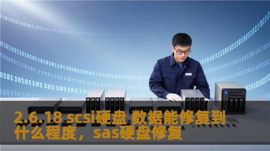 2.6.18 scsi硬盘 数据能修复到什么程度，sas硬盘修复