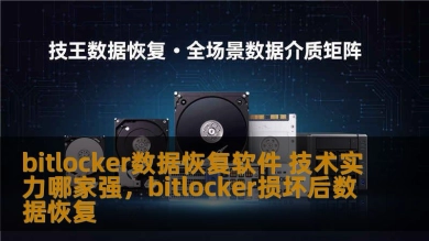 bitlocker数据恢复软件 技术实力哪家强，bitlocker损坏后数据恢复