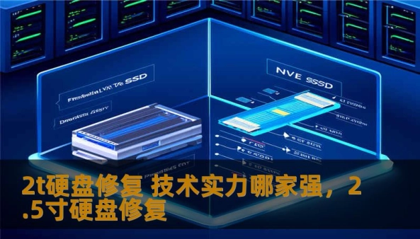 深度解析当前市面上2T硬盘修复技术，揭秘哪家企业技术实力最强，帮你解决硬盘故障难题。