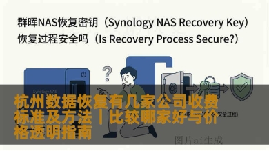 杭州数据恢复有几家公司收费标准及方法｜比较哪家好与价格透明指南