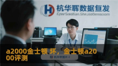 a2000金士顿 坏，金士顿a2000评测