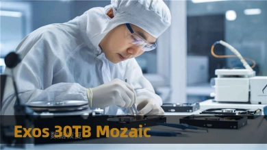 Exos 30TB Mozaic