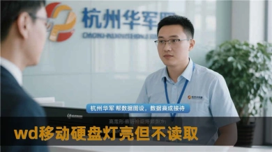 wd移动硬盘灯亮但不读取