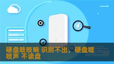 硬盘吱吱响 识别不出，硬盘吱吱声 不读盘