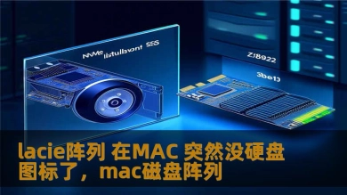 lacie阵列 在MAC 突然没硬盘图标了，mac磁盘阵列