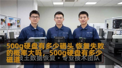 500g硬盘有多少磁头 恢复失败的概率大吗，500g硬盘有多少磁道