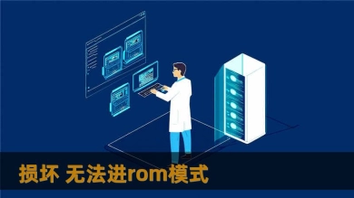 损坏 无法进rom模式