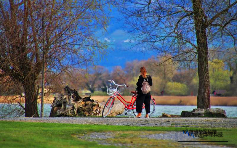 笔记本硬盘回复数据要多少钱，手提电脑硬盘数据恢复