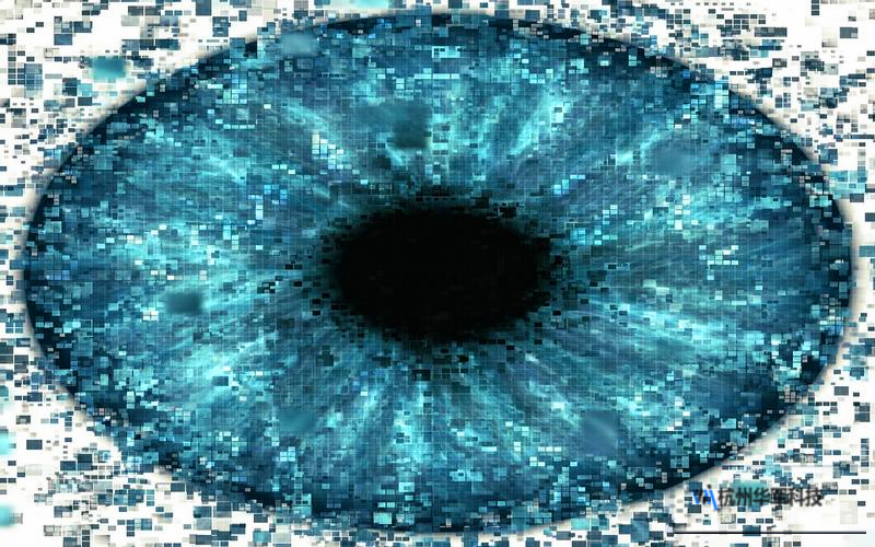 专业数据恢复机构,专业数据恢复机构用什么软件 专业数据恢复机构,专业数据恢复机构用什么软件