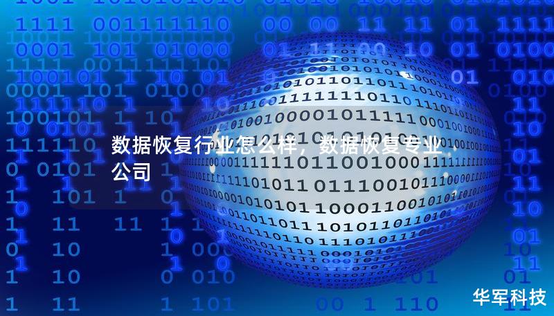 数据恢复行业怎么样，数据恢复专业公司