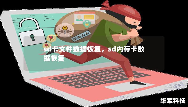 sd卡文件数据恢复，sd内存卡数据恢复