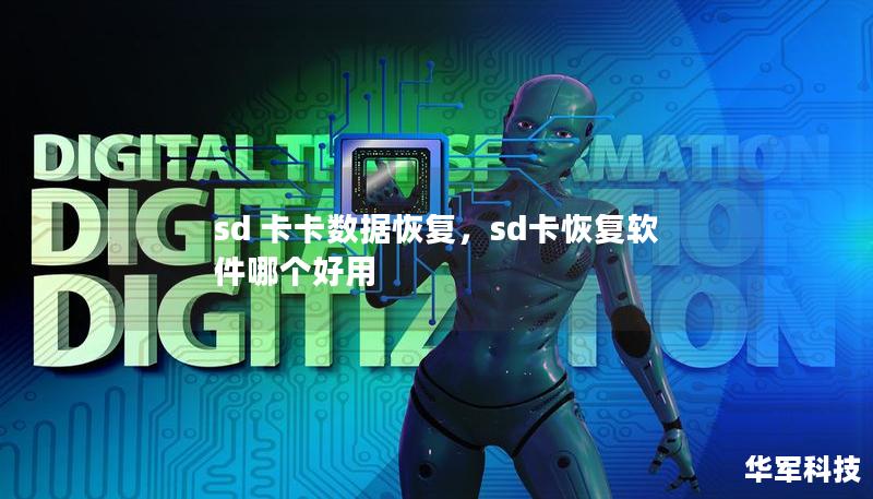 sd 卡卡数据恢复，sd卡恢复软件哪个好用