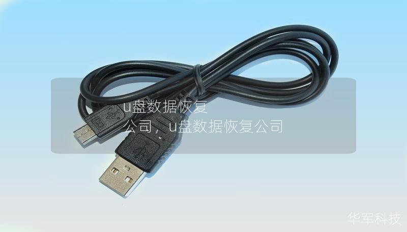 u盘数据恢复 公司，u盘数据恢复公司