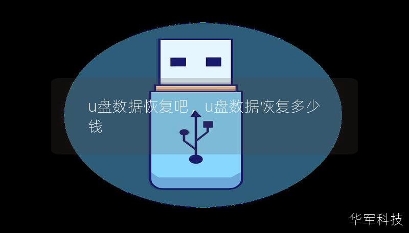 u盘数据恢复吧，u盘数据恢复多少钱