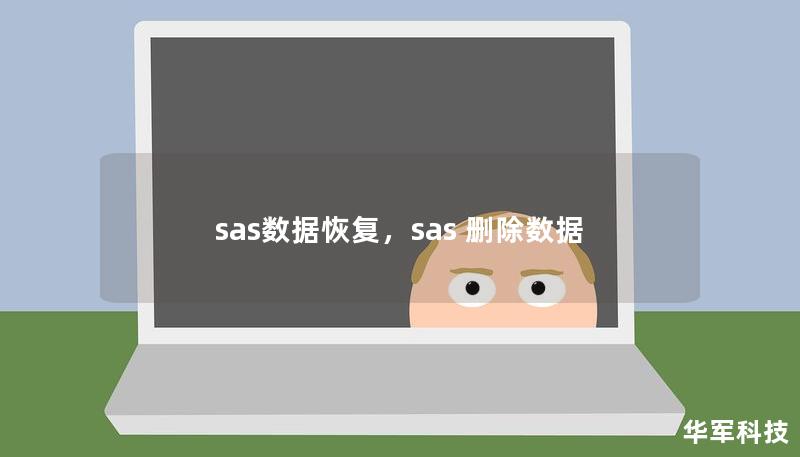 sas数据恢复，sas 删除数据