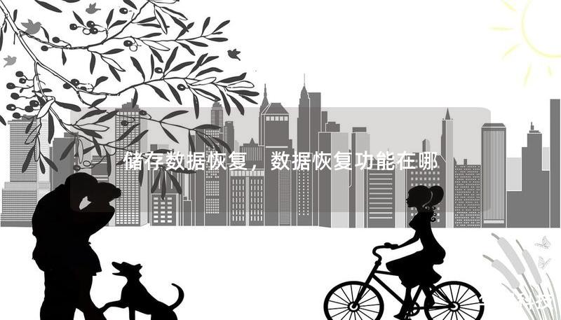 储存数据恢复，数据恢复功能在哪