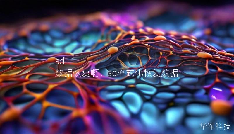 sd 数据恢复啊，sd格式化恢复数据