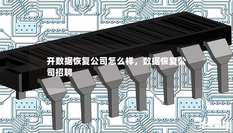开数据恢复公司怎么样，数据恢复公司招聘