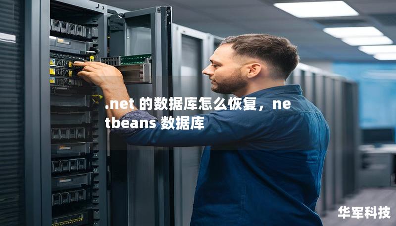 .net 的数据库怎么恢复，netbeans 数据库