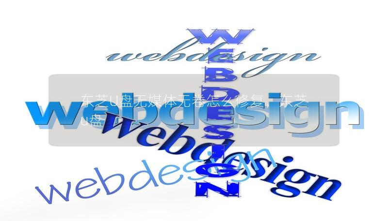 东芝U盘无媒体无卷怎么修复,东芝 u盘 东芝U盘无媒体无卷怎么修复,东芝 u盘