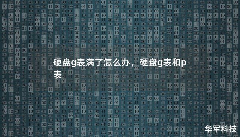 硬盘g表满了怎么办，硬盘g表和p表