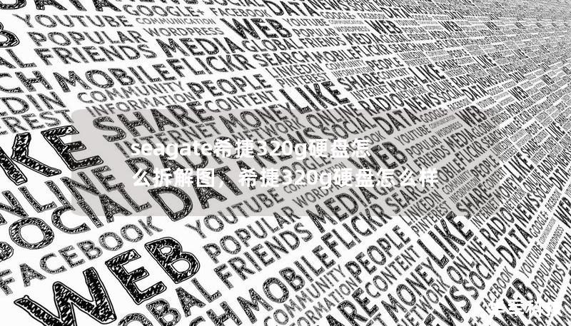 seagate希捷320g硬盘怎么拆解图，希捷320g硬盘怎么样